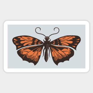 The Moth Sticker